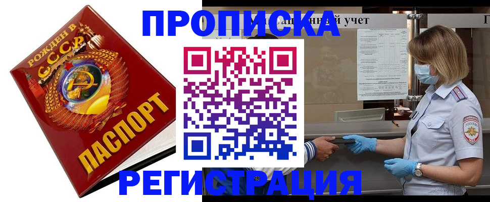 прописка штамп в Звенигово